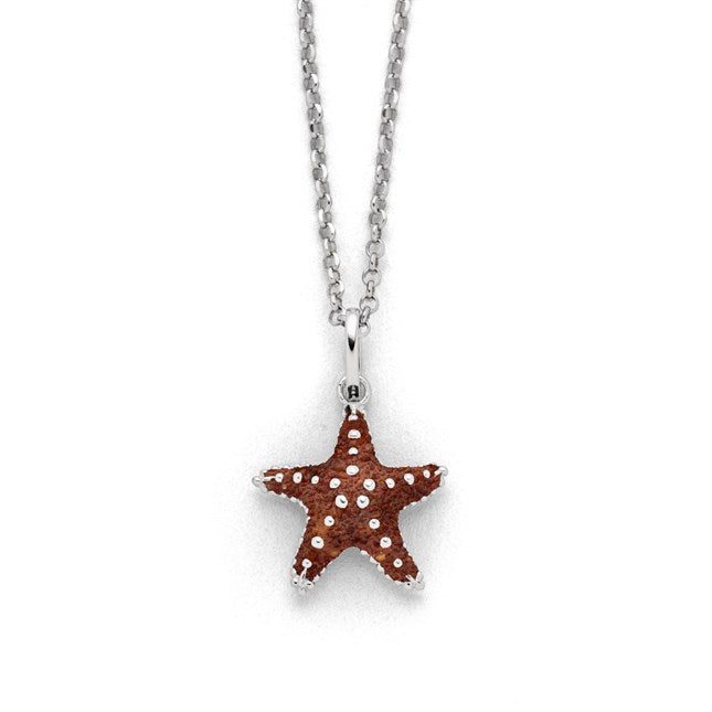 DUR Schmuck: Kette "Seestern" Silber 925 rhodiniert mit Bernstein K2831